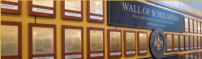 Brighton & Hove student removals service